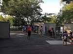z-180845_furusatomaturi (18).jpg